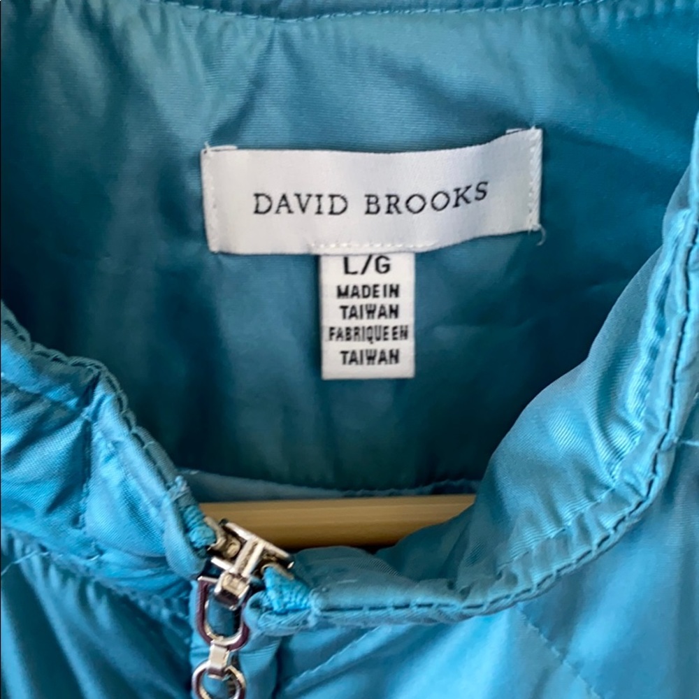 David Brooks - image 2